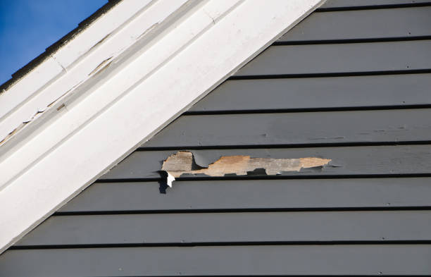 Best Siding Maintenance  in Moriches, NY