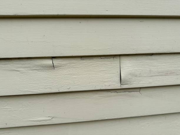 Best Custom Siding Design  in Moriches, NY